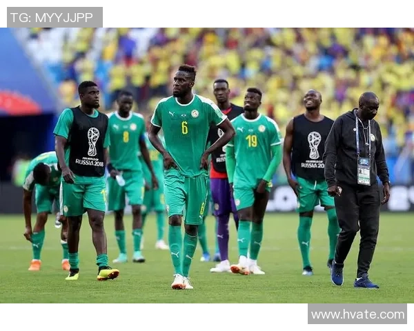 塞内加尔VS贝尔直播