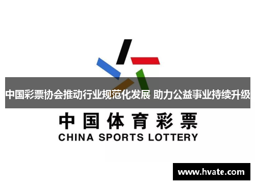 中国彩票协会推动行业规范化发展 助力公益事业持续升级