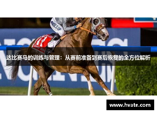达比赛马的训练与管理：从赛前准备到赛后恢复的全方位解析